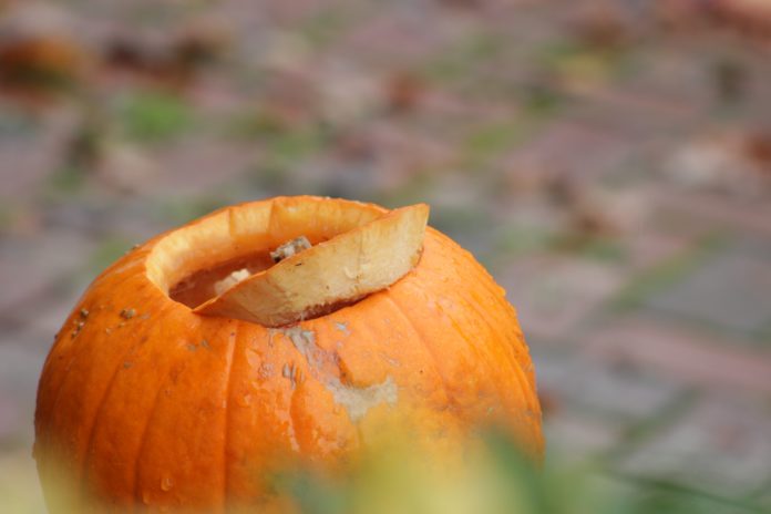 Things to do with leftover pumpkin