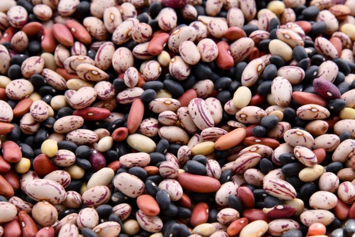Beans health benefits