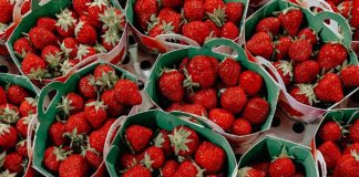 Heathiest fruits: Bunches of strawberries