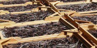 Vanilla beans and why it's expensive