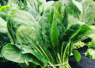 Spring veggies: spinach