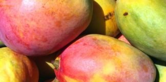 Mangos are in season during the spring
