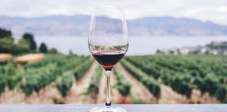 Health benefits of red wine