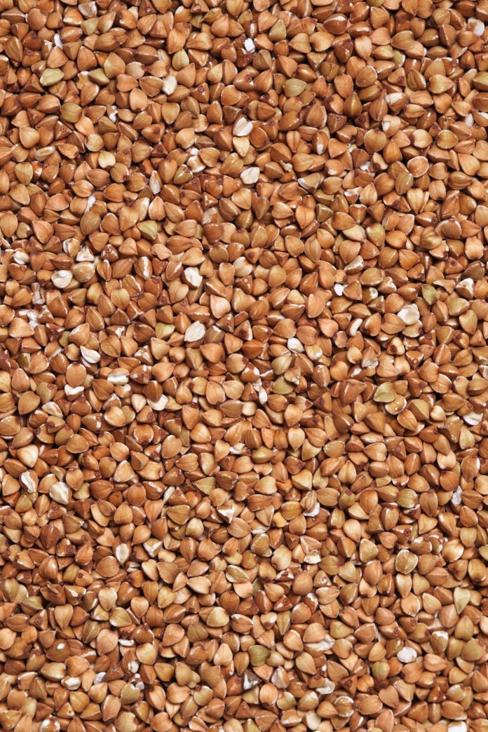 Buckwheat is high in protein