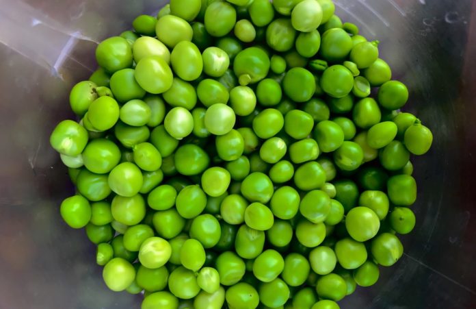 Foods with folic acid: peas