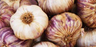 Pickled garlic is the latest TikTok trend