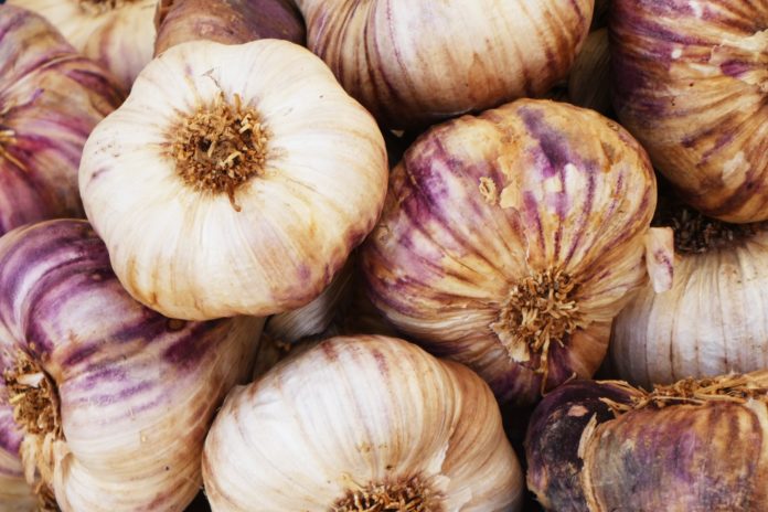Pickled garlic is the latest TikTok trend
