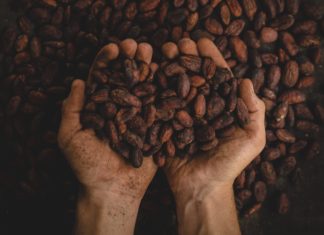 What is cacao water?