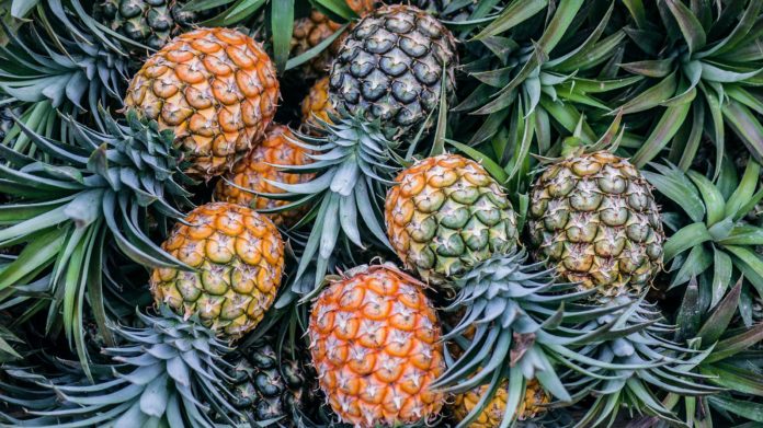 5 ways to tell when a pineapple is ripe.