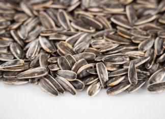 Sunflower seeds with cream cheese
