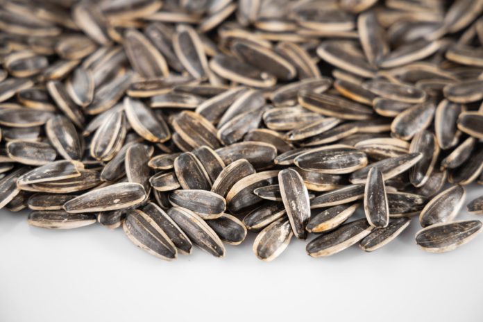 Sunflower seeds with cream cheese