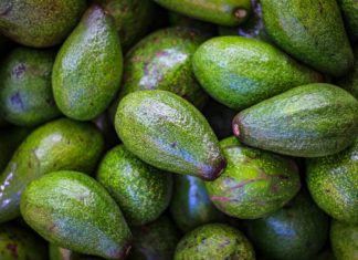 Avocado benefits
