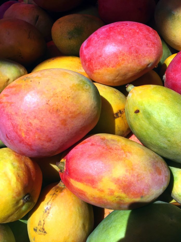 Juicy mangoes