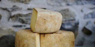 Blocks of cheese