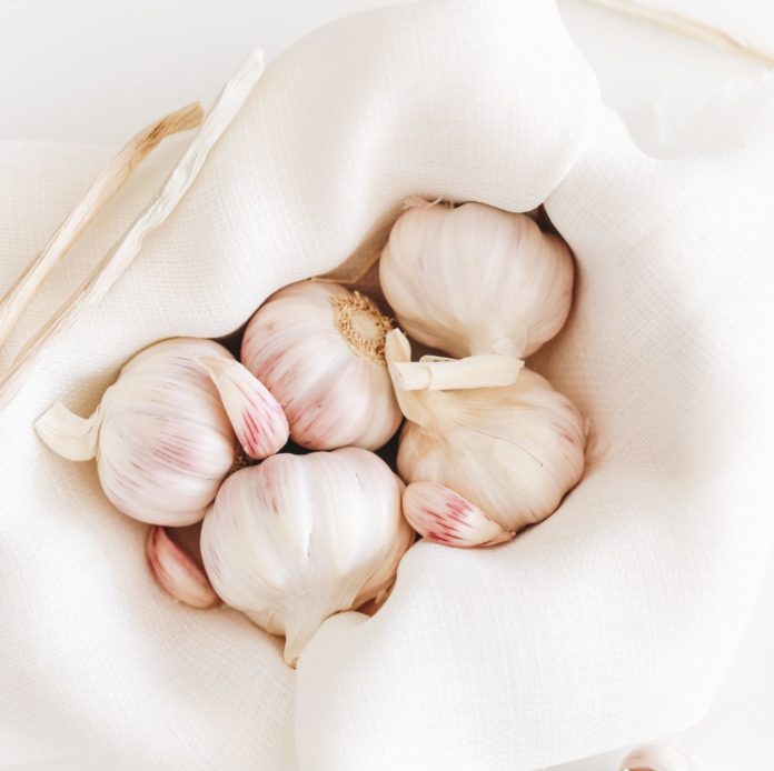 Garlic