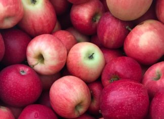Apples