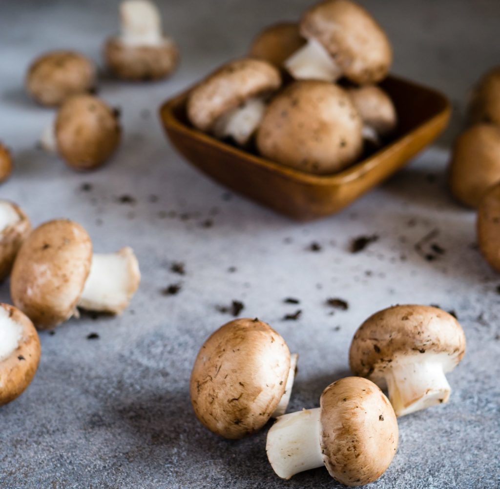 Mushroom Dishes We’re Eating for Every Meal - foodisinthehouse.com