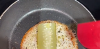 pickle in fried cheese