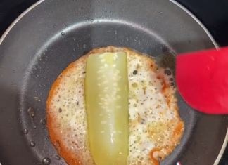 pickle in fried cheese