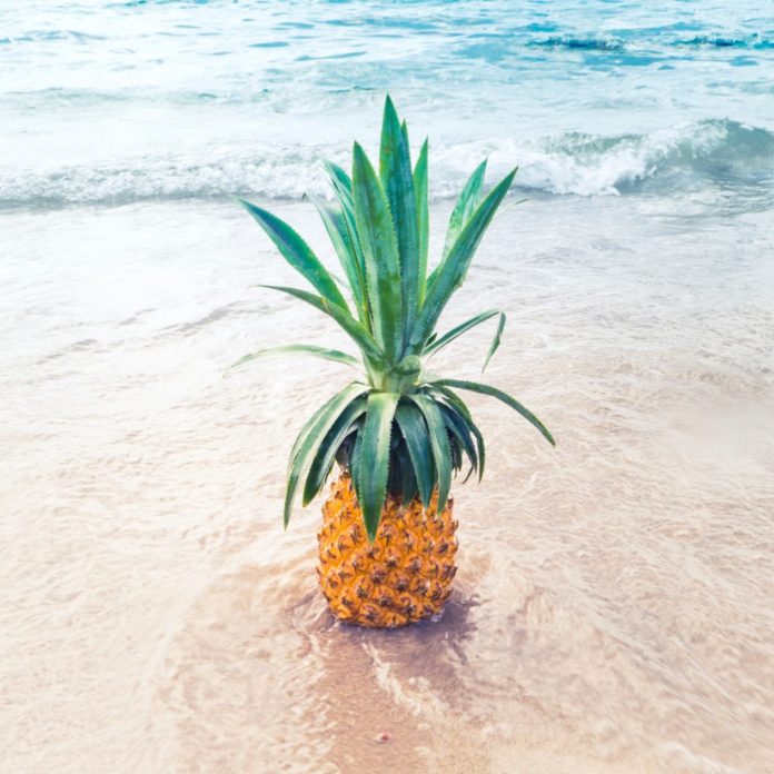 Pineapple in the sand