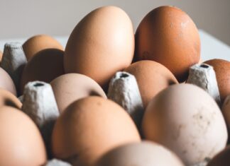 Eggs