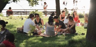 Picnic in the park