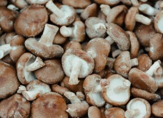 Shitake mushrooms