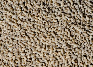Oat groats