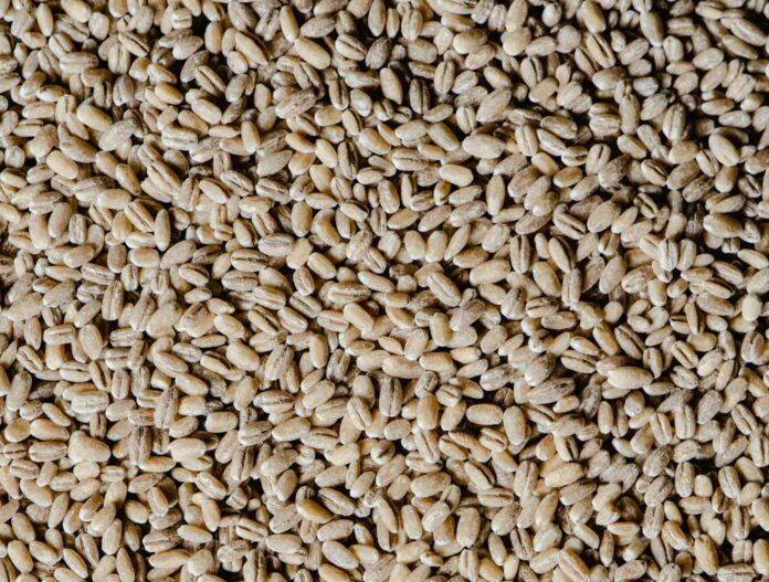 Oat groats