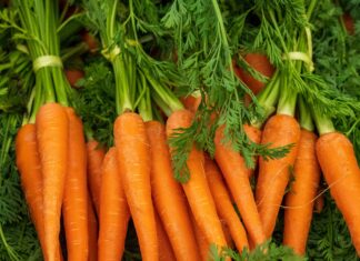 Carrots
