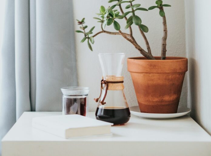 Coffee pot and cup next to a plant